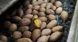 【名産物】甘い安納芋が種子島の特産物