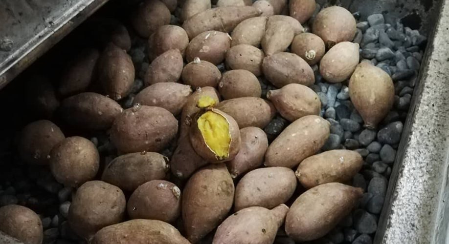 【名産物】甘い安納芋が種子島の特産物