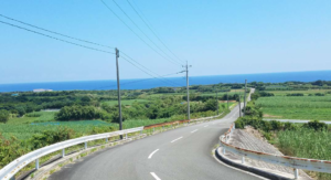 種子島での観光の移動手段は？レンタカーは必須！？