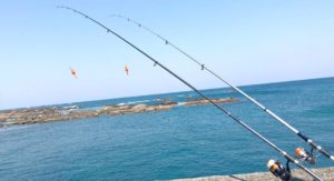 種子島の釣りができるポイント一覧